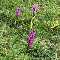 Cranborne Chase Farmer Cluster (@farmercluster) 's Twitter Profile