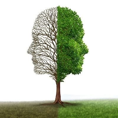 retroprogres's profile picture. #RetroProgrés: el progrés possible en un planeta viu. Compte de @jmcampsc.  #PrincipiDePrecaució