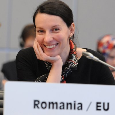 🇷🇴 Diplomat, Permanent Mission of Romania @OSCE. Follow @RO_Vienna & @MAERomania. Views my own. RT/follows ≠ endorsement