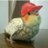 Jwsnph's profile image
