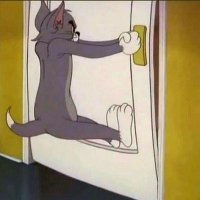 مفيش اسم (@kihgvhh) 's Twitter Profile