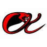CamoKevlar's profile picture. Catch me on Twitch