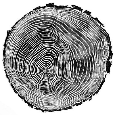 Ecualizaba sonido. Ahora tejo, tajo, tallo, planto, escribo, fotografío..., también recolecto resina y —sobre todo— escucho, vivo en el bosque el instante.