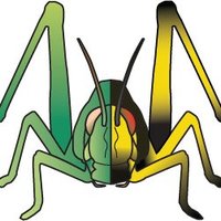 Behavioral Plasticity Research Institute (@nsf_bpri) 's Twitter Profile Photo