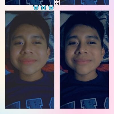 vidarisgpt's profile picture. 