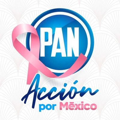 Cuenta oficial del Comité Directivo Municipal del Partido Acción Nacional en Amecameca