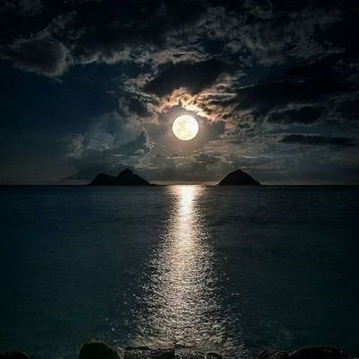 al543s's profile picture. ‏‏الأيام لا تغير أحداً..
بل تظهر الناس على حقيقتهم ..
فمنهم من يزداد جمالاً..
ومنهم من ينكشف زيفه !
‏‏