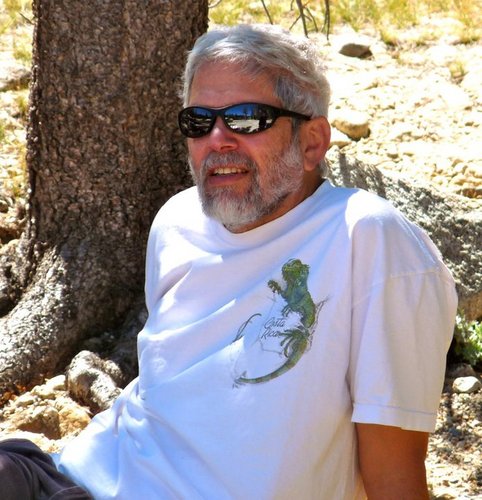 drormata's profile picture. Director of technology at https://t.co/zY36tflBzS