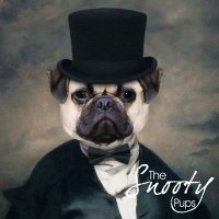 The Snooty Pups(@TheSnootyPups) 's Twitter Profile Photo