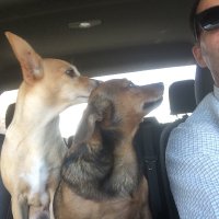 Chris (@chrisbu73906152) 's Twitter Profile Photo Chris (@chrisbu73906152) 's Twitter Profile Photo
