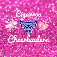 Cigarroa High School Cheerleaders(@CheerToro) 's Twitter Profile Photo