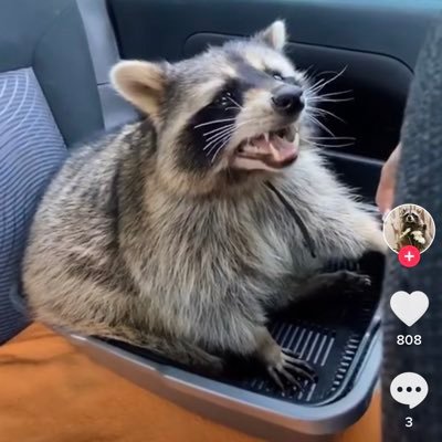 WsH2Oh64rhv66Ti's profile picture. アラフォーのスペ90です だいぶ落ちてきたよ！体重が