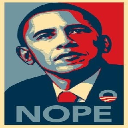 Counting the long, long days until Obama's term is over.