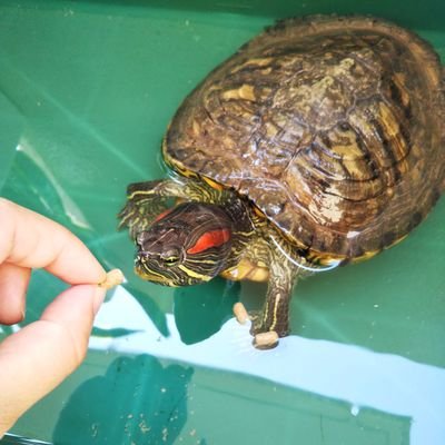 MH9Co5VZzZJNukA's profile picture. 読書アカウントです。伊坂幸太郎さんが大好き！麻耶雄嵩さんにはまり中。基本ミステリばっかり読んでます。20↑