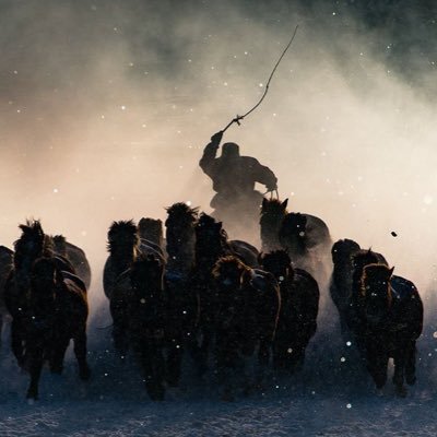 XDS44's profile picture. بَلِ السَّاعَةُ مَوْعِدُهُمْ وَالسَّاعَةُ أَدْهَىٰ وَأَمَرُّ