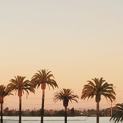 Amr1969Ar's profile picture. 