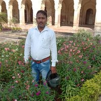 Manish Kumar Pandey (@manishk15963983) 's Twitter Profile
