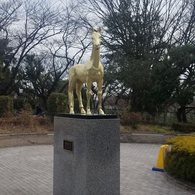 夢はyoung and rich✨ 副業年収1300万総資産7500万達成して馬主になることが目標です🐴無駄な時間が嫌いで効率大好き😁受験は9ヶ月で偏差値40→70で難関大合格！就活では1ヶ月で10社以上内定ゲット！効率最高😆フォローすると幸せな時間が増えます❤️今の副業を始めて3ヶ月で16万円の収益✨