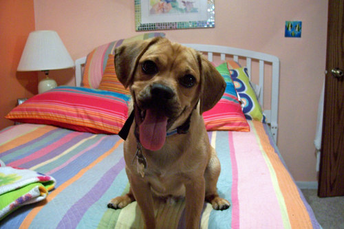 Single, sarcastic, quick-witted, gal who is loving life in Raleigh, NC! 😁