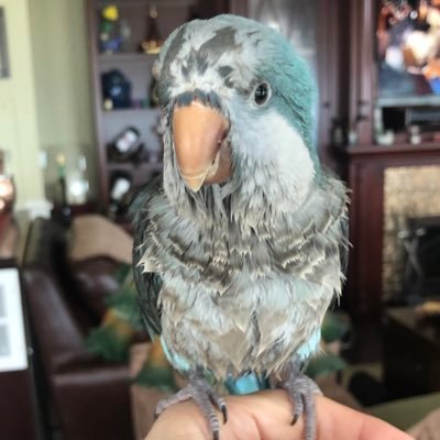 skylar_04's profile picture. 