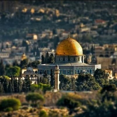 عربي فلسطيني وافتخر