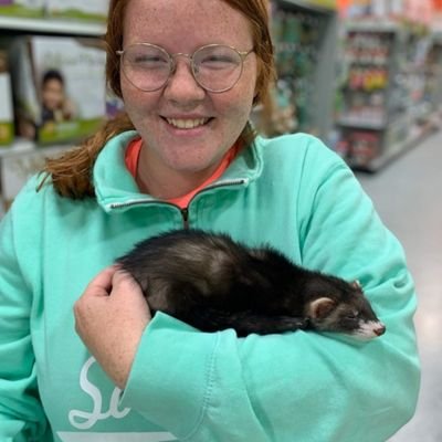 BogleLauren's profile picture. 