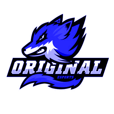 Equipe de League of Legends Semi-Profissional