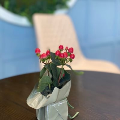 suuwka's profile picture. бүсгүйчүүд бүгдийг хийж чаддаг.