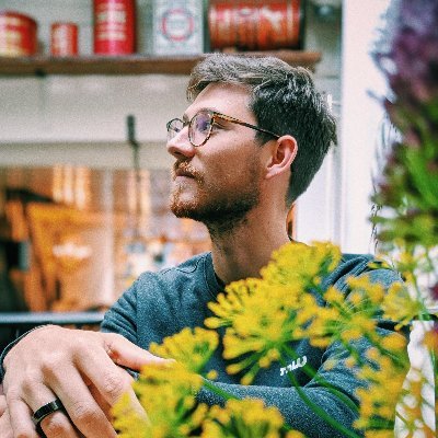 Sebastien Toupy Profile