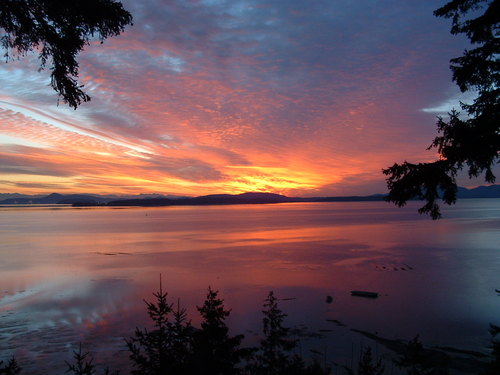 The Oyster Bar on Chuckanut Drive is the Pacific Northwest's premiere fine dining experience.