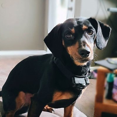 katejam12968141's profile picture. Love care