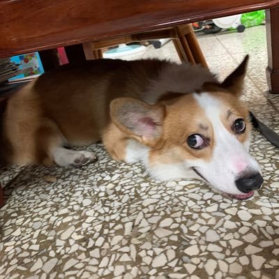 monza1024's profile picture. Farming yields on Sui. The only green I care about.