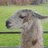 hayweirdly's profile image