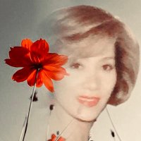 marianne young (@marianne_space) 's Twitter Profile Photo marianne young (@marianne_space) 's Twitter Profile Photo