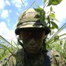 CamouflageSix's profile picture. 元空自の戦闘機整備員✈
現在はフリーランスの アラフィフ ソフトウェアアーキテクト💻
田舎からテレワーク中
仕事💻趣味🚴🏝️🏕️金融知識💰などをつぶやいたりする
最近の趣味はサックス🎷