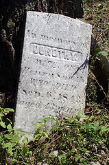 LoyalistsCA's profile picture. 