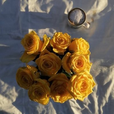 fous44's profile picture. معلمة|مدربة معتمدة|مهتمة بـ #التعليم_التدريب #السياحة #التصوير #متطوعة شعاري بالحياة( كن مؤثراً وذا قيمة)✨