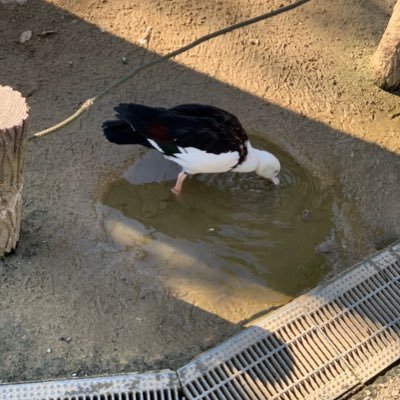 takumar35869870's profile picture. 