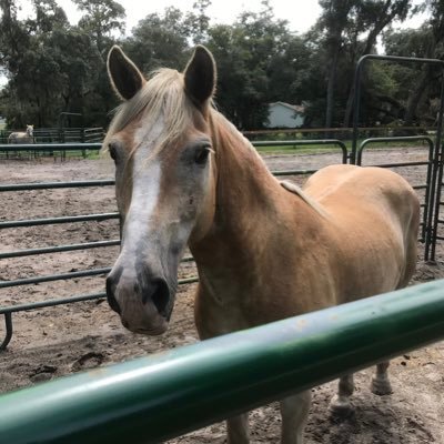 Mariann31097730's profile picture. living life to the fullest one day at a time.