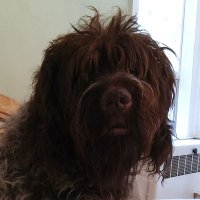 james hickey (@jhickey4897) 's Twitter Profile
