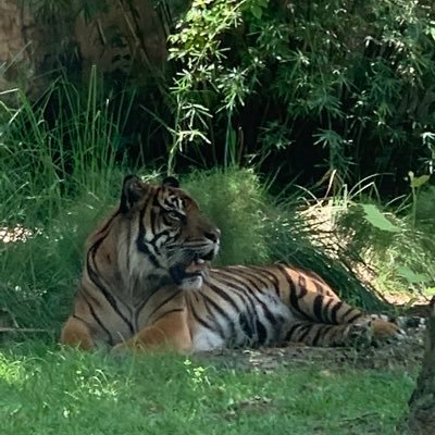 cbromber's profile picture. he/him/his