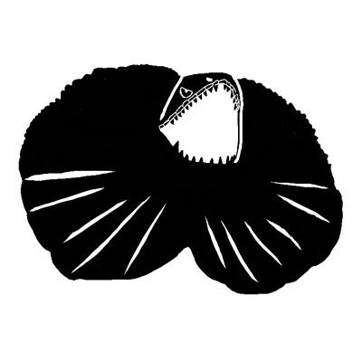 神速の鷹 Twitter Search Twitter 神速の鷹 Twitter Search Twitter