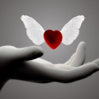 Carol McCormick (@carolmc78844348) 's Twitter Profile Photo Carol McCormick (@carolmc78844348) 's Twitter Profile Photo