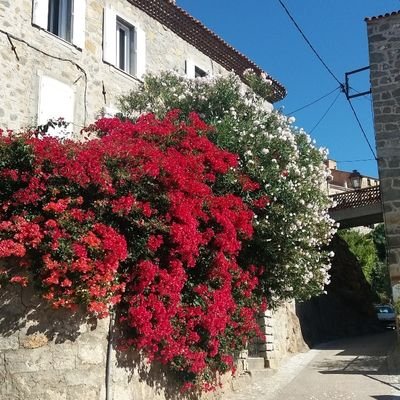 Coco985634's profile picture. Je découvre Tweeter.