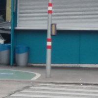 Bernhard Rieger (#mitdemvirusleben #1bis19) (@undcorona) Twitter profile photo