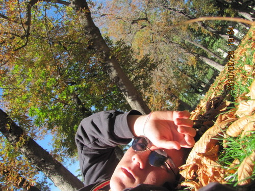 danielpilo94's profile picture. 