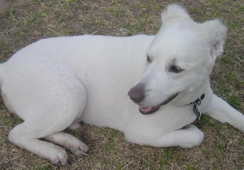 Renotheboy's profile picture. 