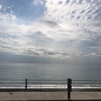 TAMAXXXY (@taromahal) 's Twitter Profile