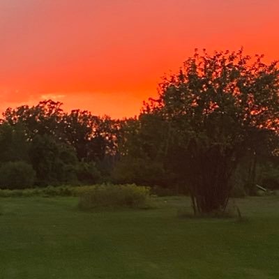 adrienn23310653's profile picture. 