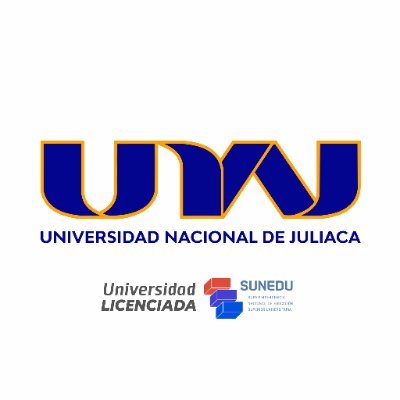 Universidad Nacional de Juliaca- UNAJ